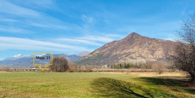 immagine annuncio 1 di 13