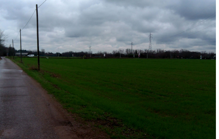 immagine annuncio 1 di 13