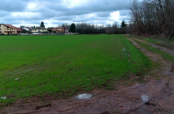 immagine annuncio 3 di 13