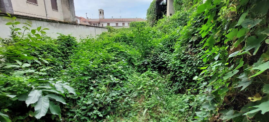 immagine annuncio 7 di 13