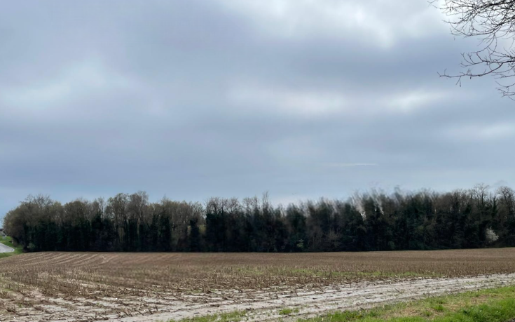 immagine annuncio 2 di 13