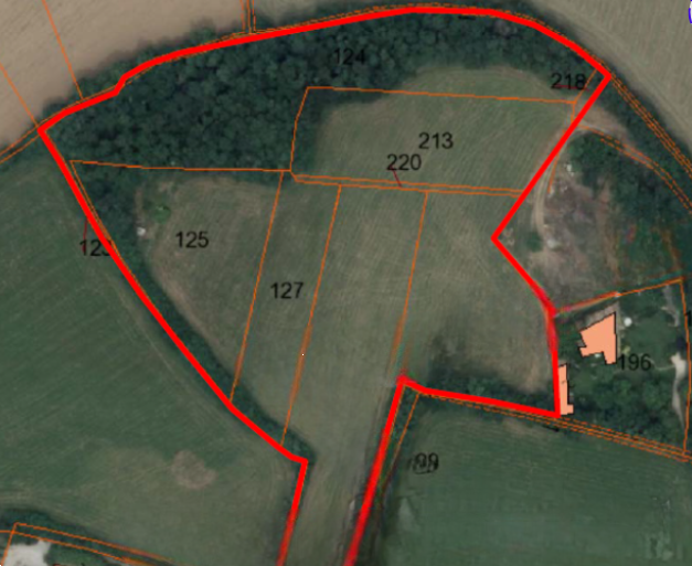 immagine annuncio 12 di 13