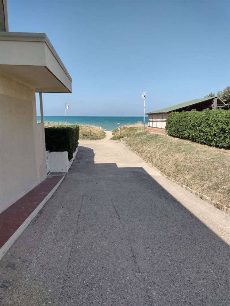 immagine annuncio 5 di 12