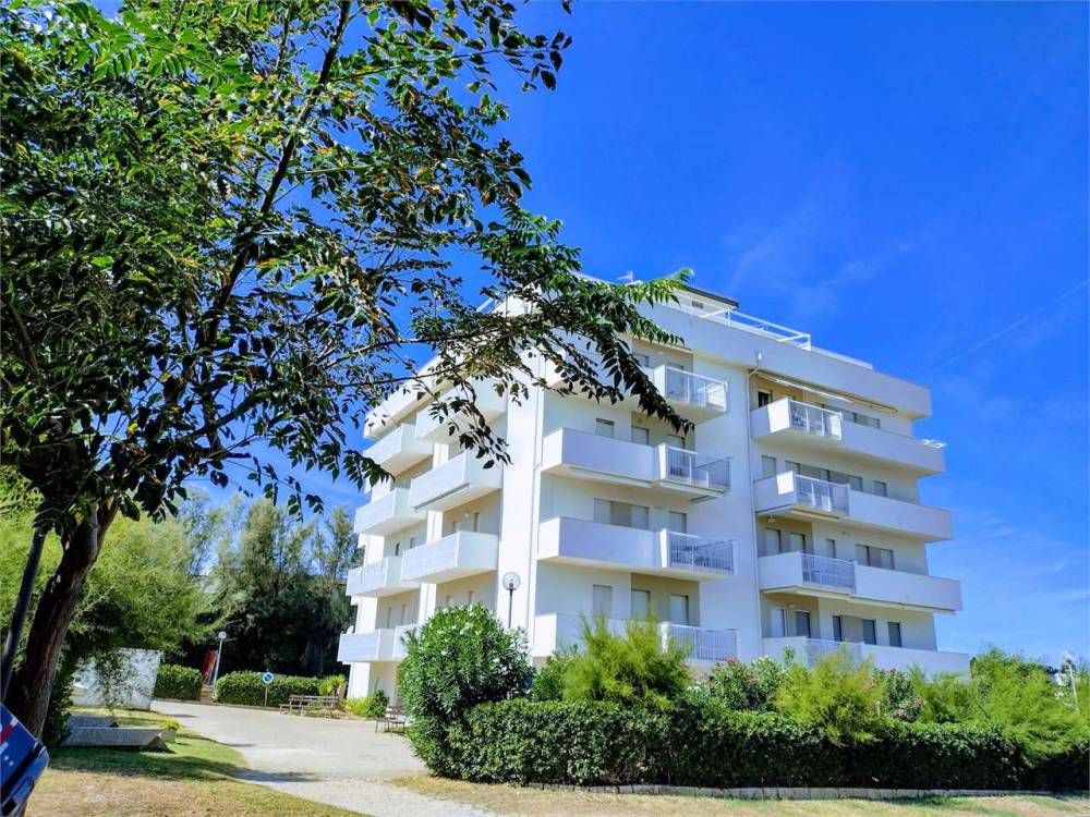 immagine annuncio 11 di 12