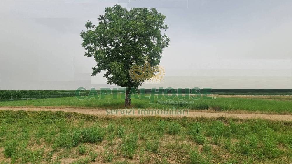 immagine annuncio 4 di 13