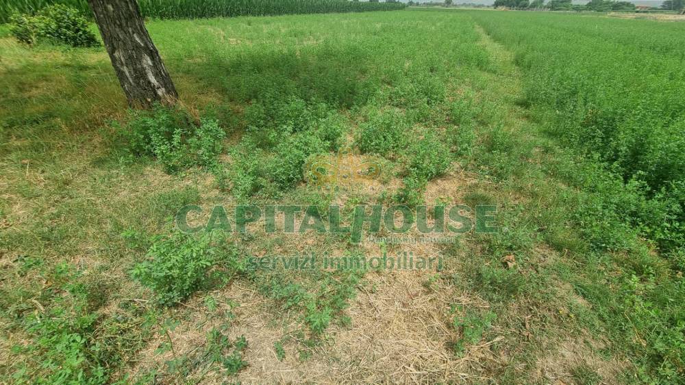 immagine annuncio 6 di 13