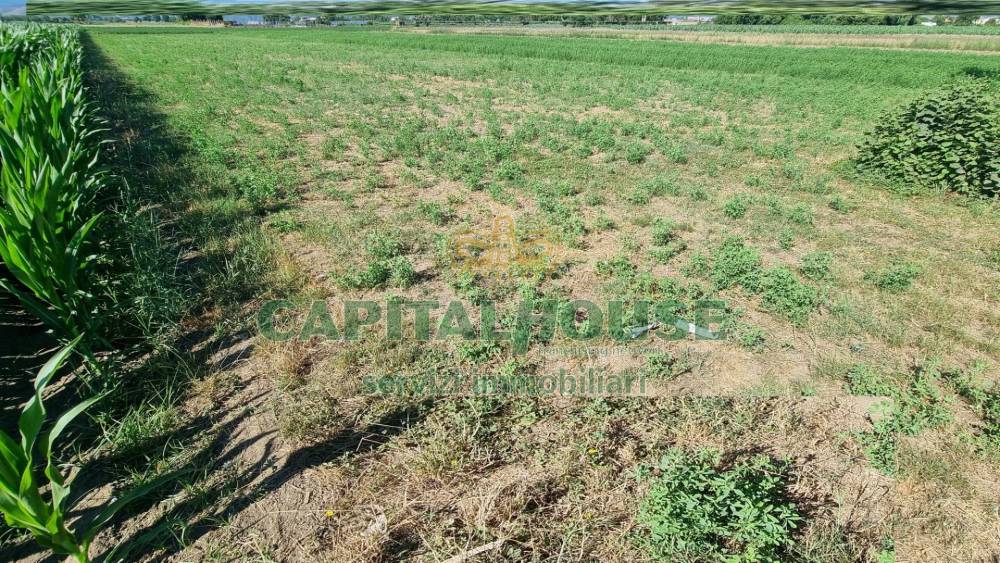 immagine annuncio 9 di 13