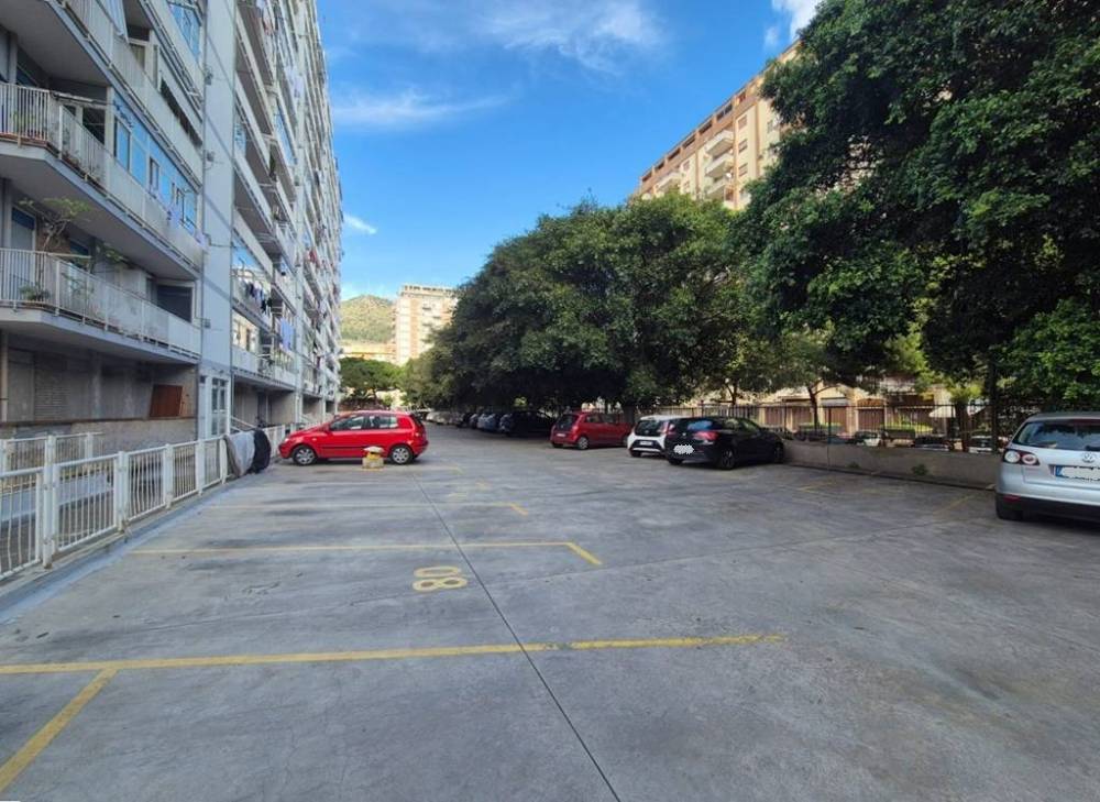 immagine annuncio 7 di 13