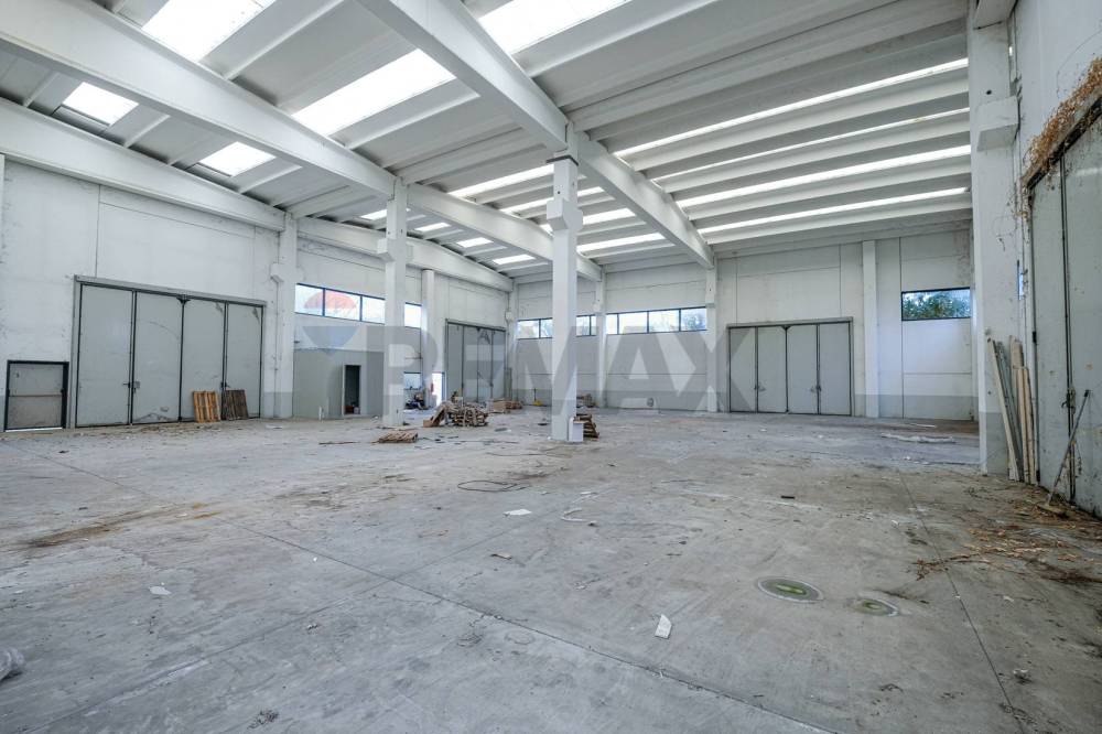 immagine annuncio 8 di 13