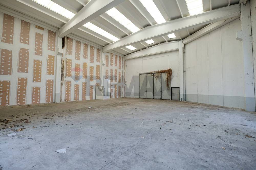 immagine annuncio 12 di 13