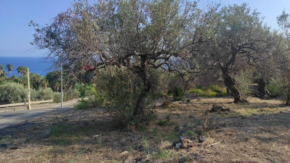 immagine annuncio 7 di 13