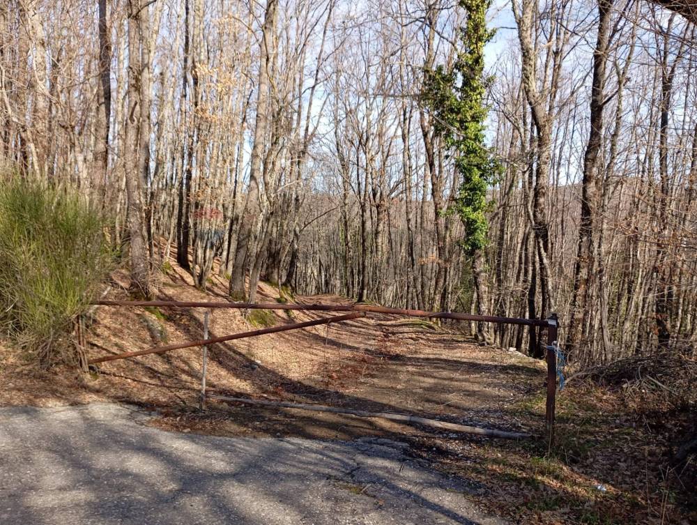 immagine annuncio 3 di 13