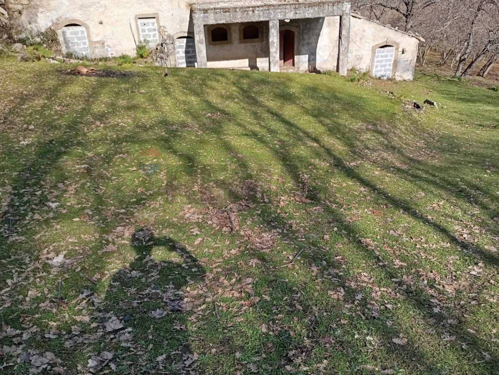 immagine annuncio 11 di 13