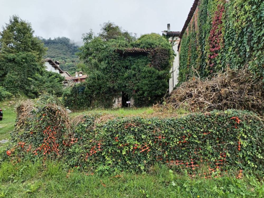 immagine annuncio 4 di 13