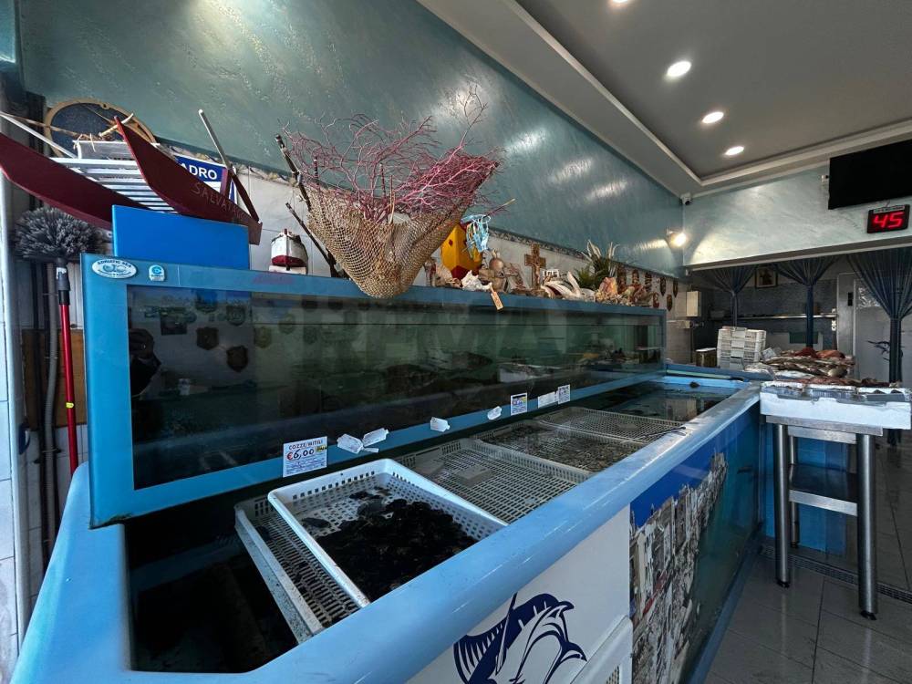 immagine annuncio 6 di 13