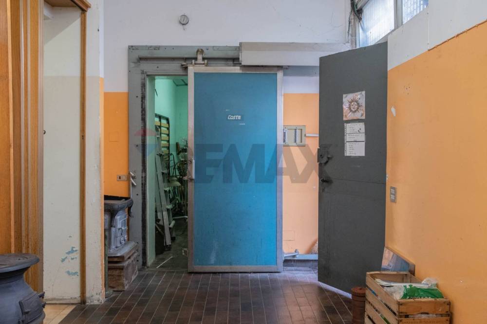 immagine annuncio 9 di 13