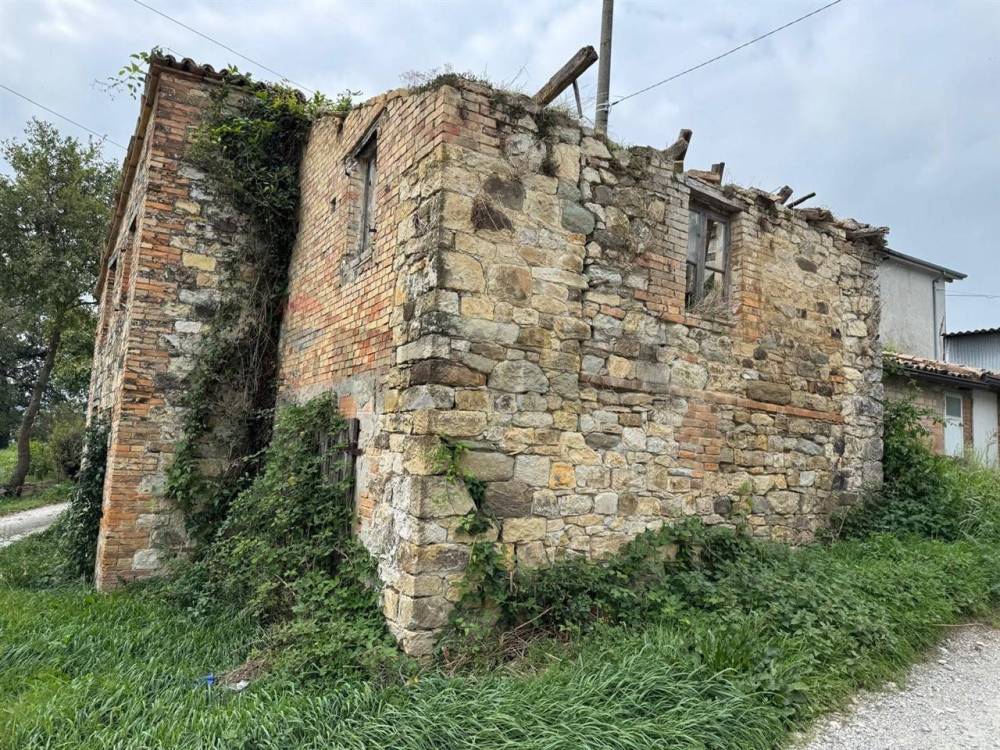 immagine annuncio 1 di 13