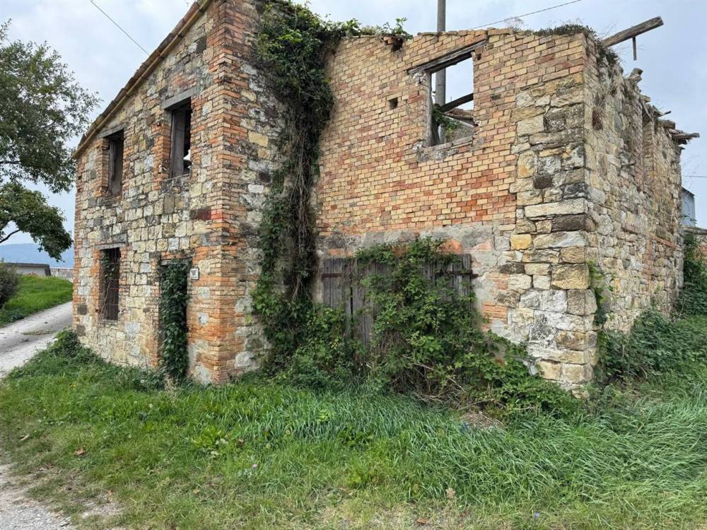 immagine annuncio 3 di 13