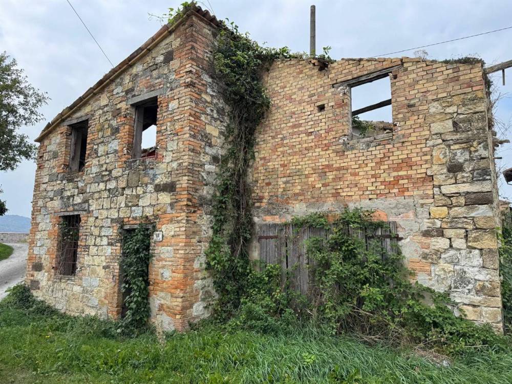 immagine annuncio 5 di 13