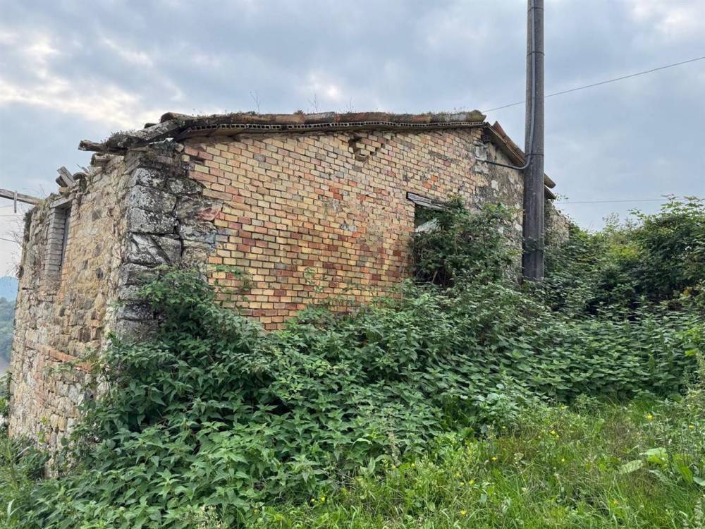 immagine annuncio 6 di 13