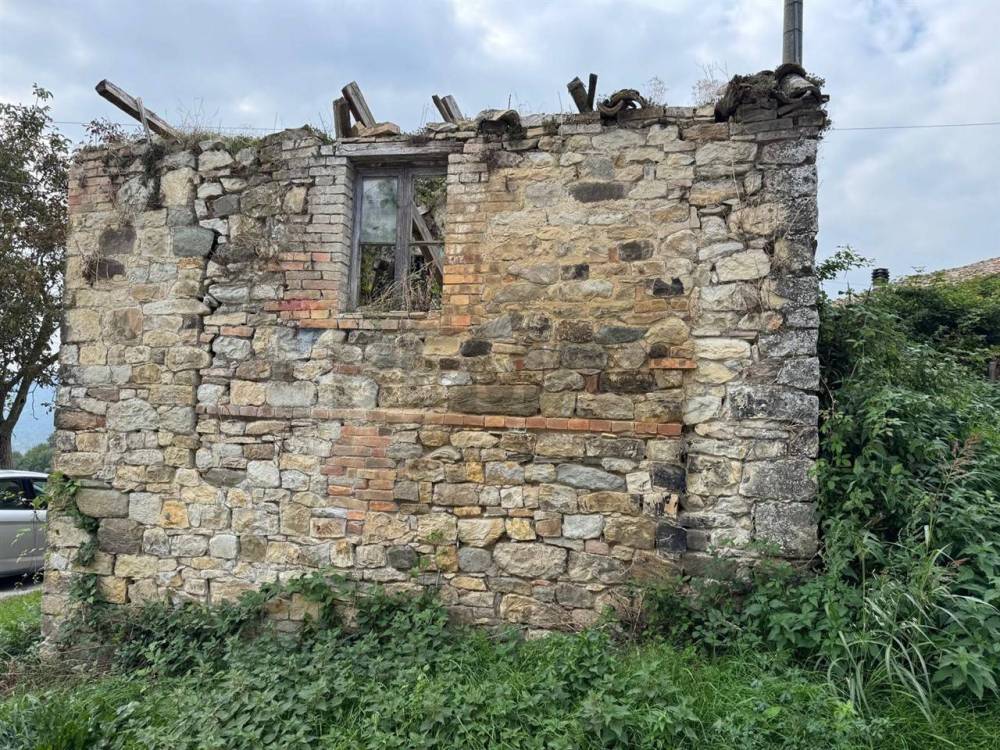 immagine annuncio 7 di 13