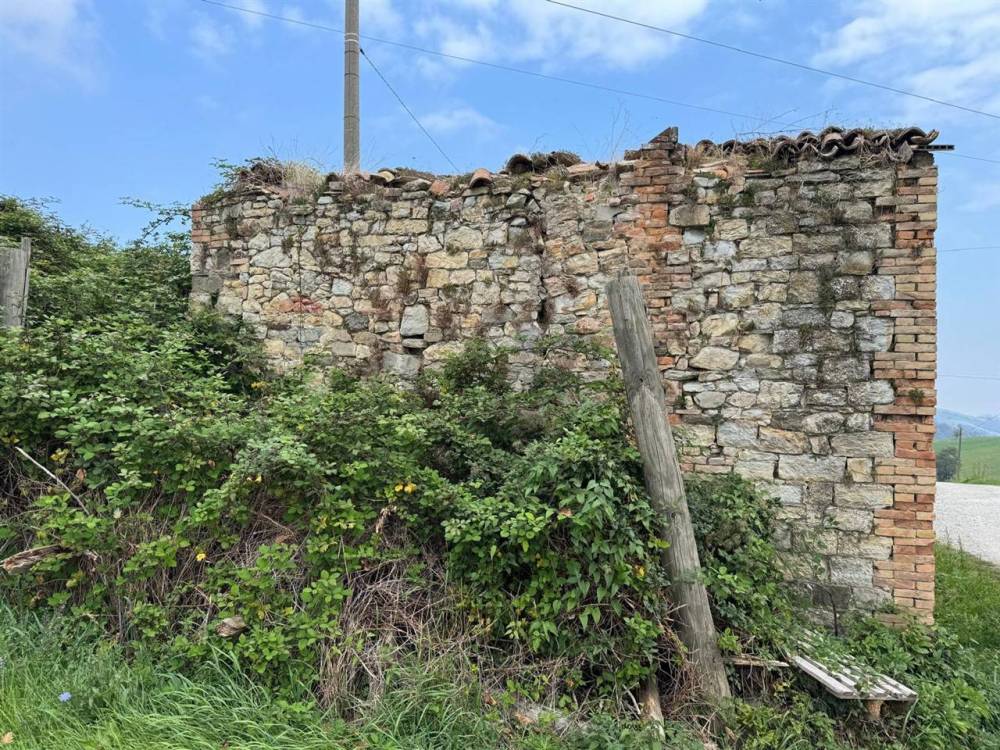 immagine annuncio 8 di 13