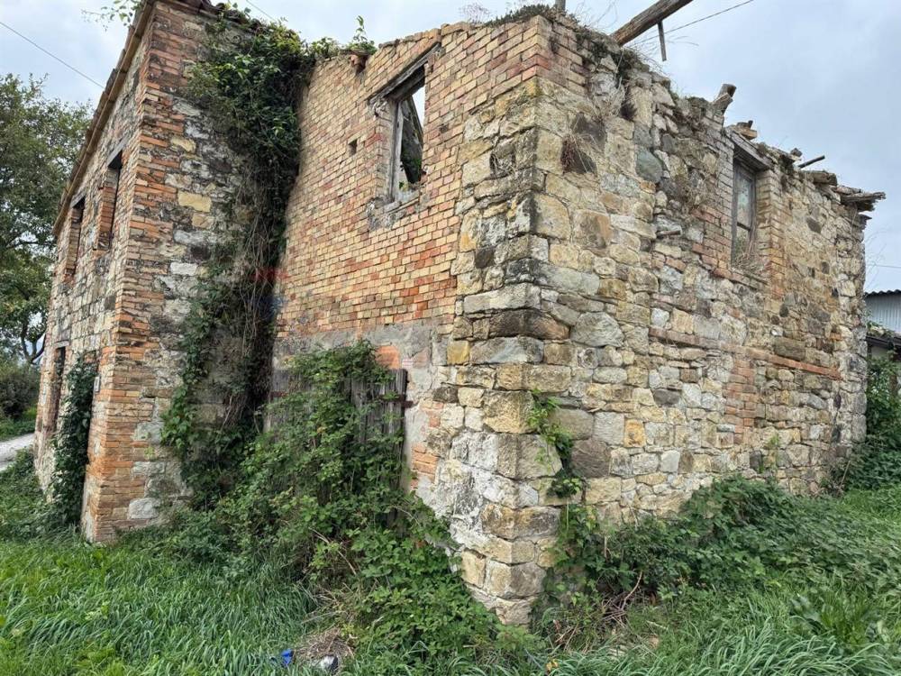 immagine annuncio 10 di 13