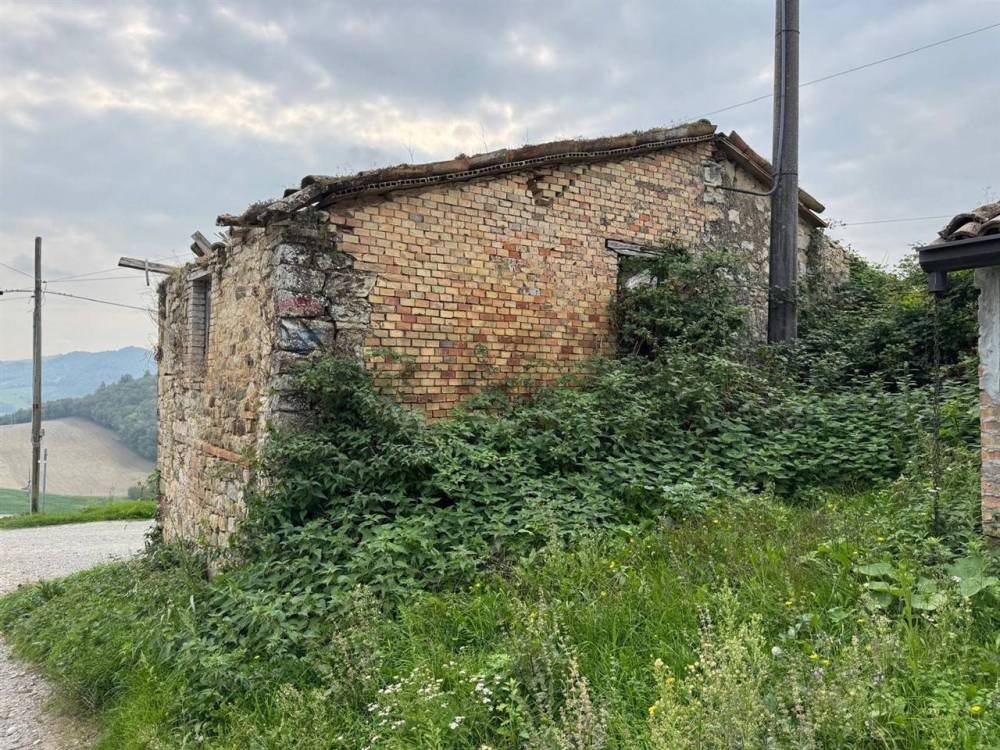 immagine annuncio 11 di 13