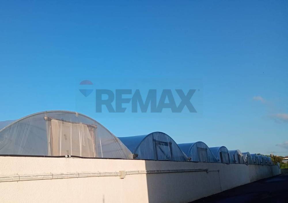 terreno agricolo in vendita a Santa Croce Camerina in zona Pellegrino