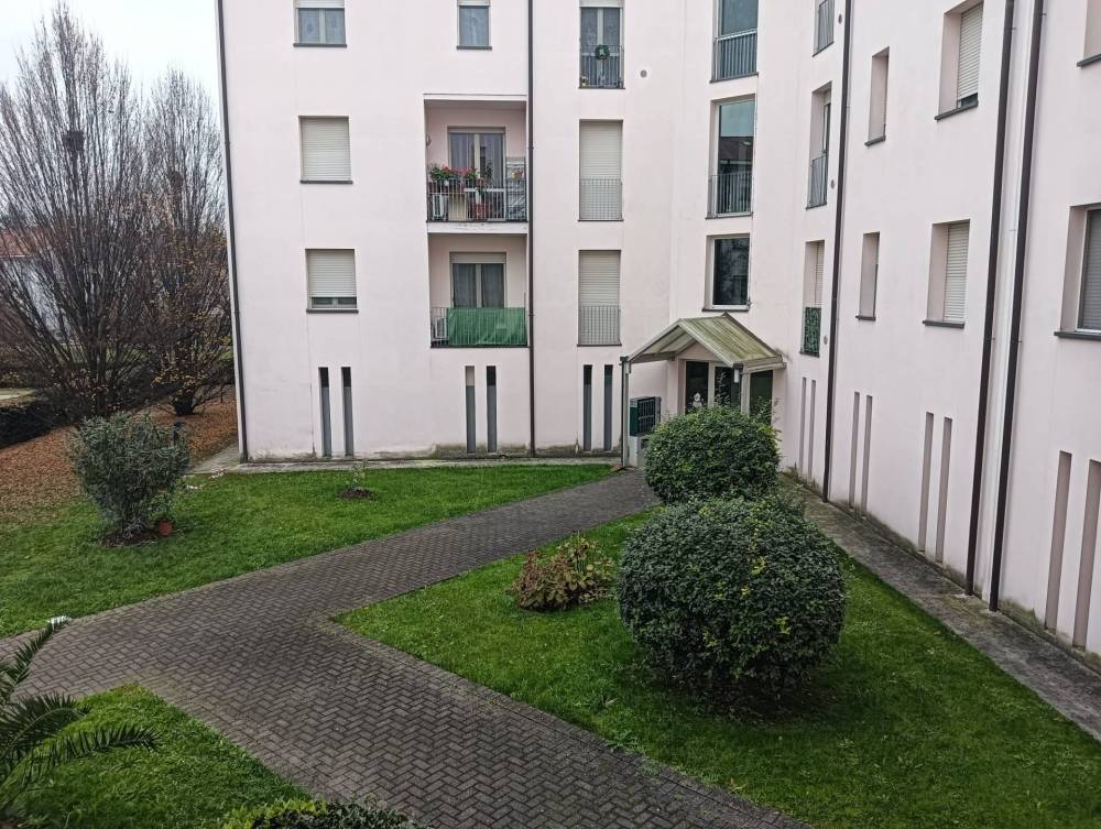 immagine annuncio 9 di 13