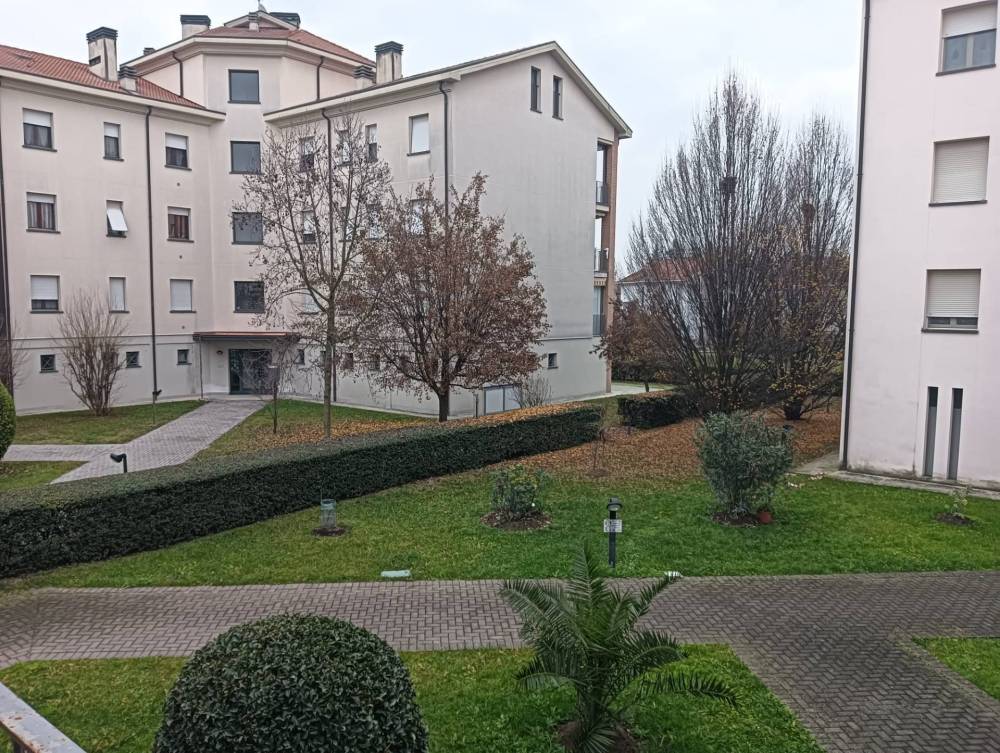 immagine annuncio 10 di 13