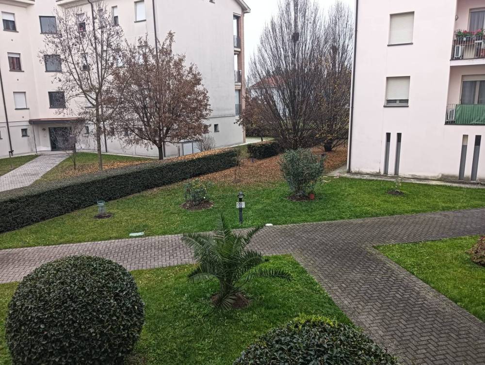 immagine annuncio 11 di 13