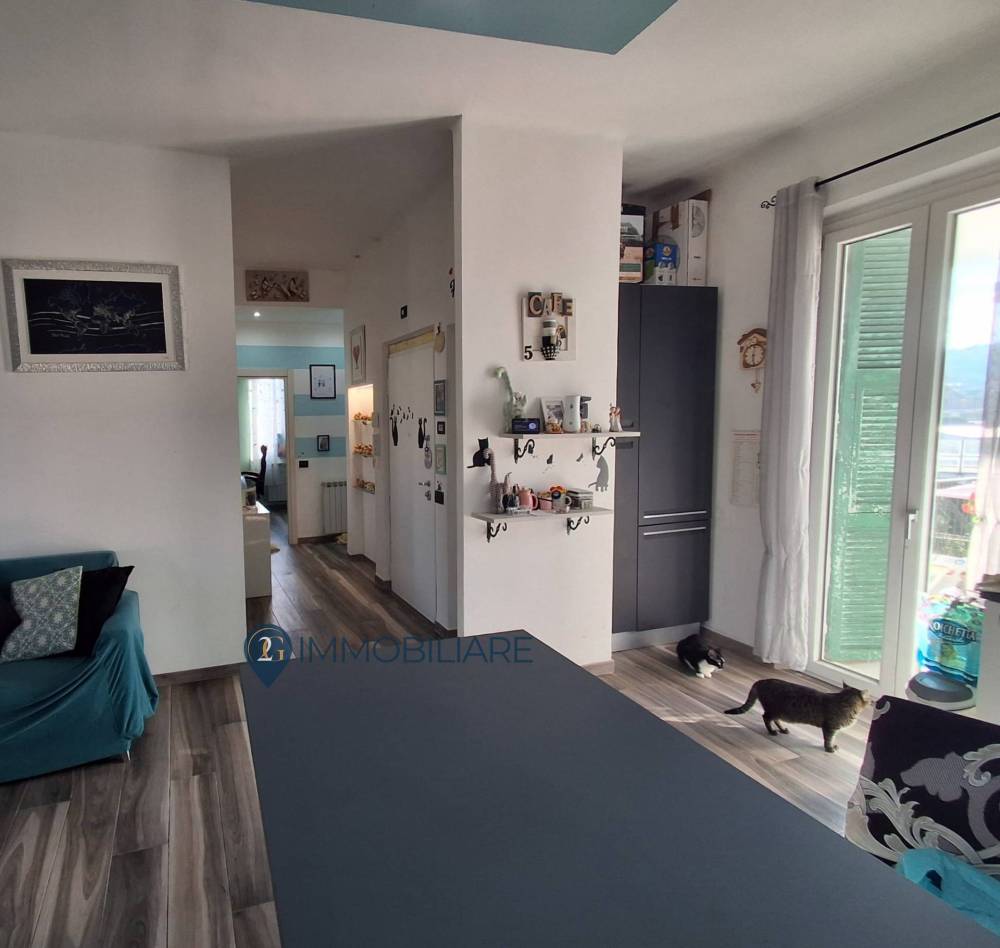 immagine annuncio 5 di 13