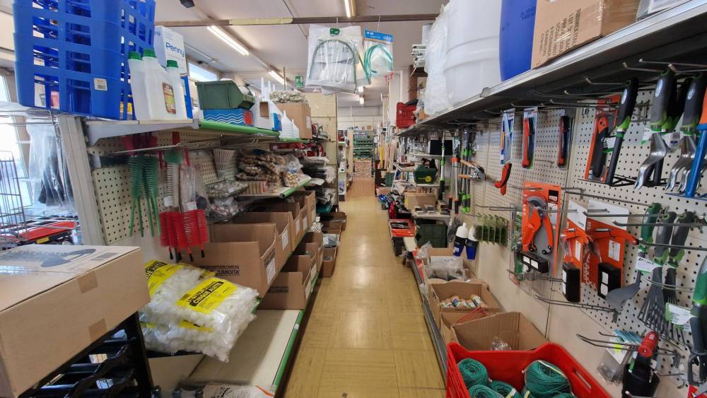 immagine annuncio 3 di 13