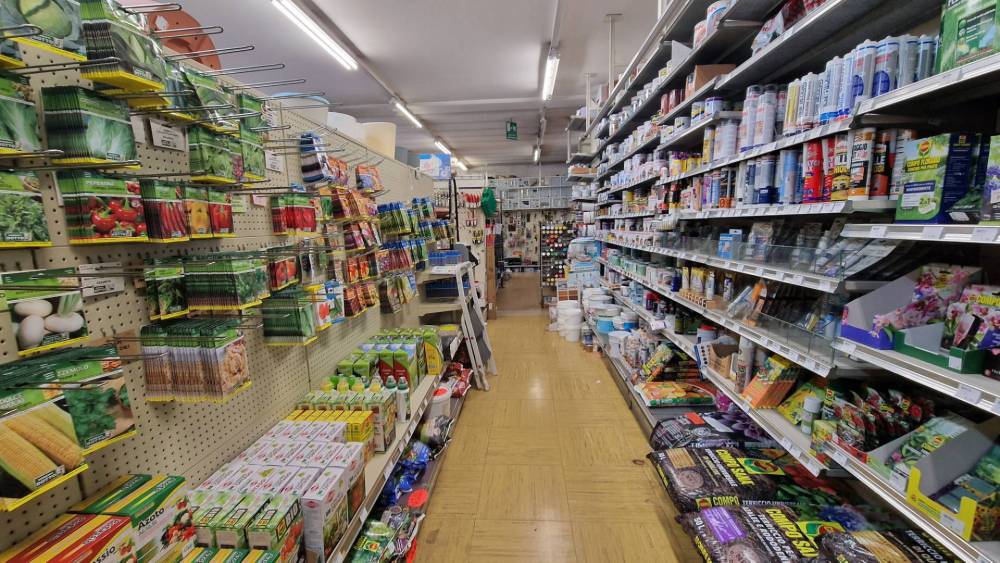 immagine annuncio 4 di 13