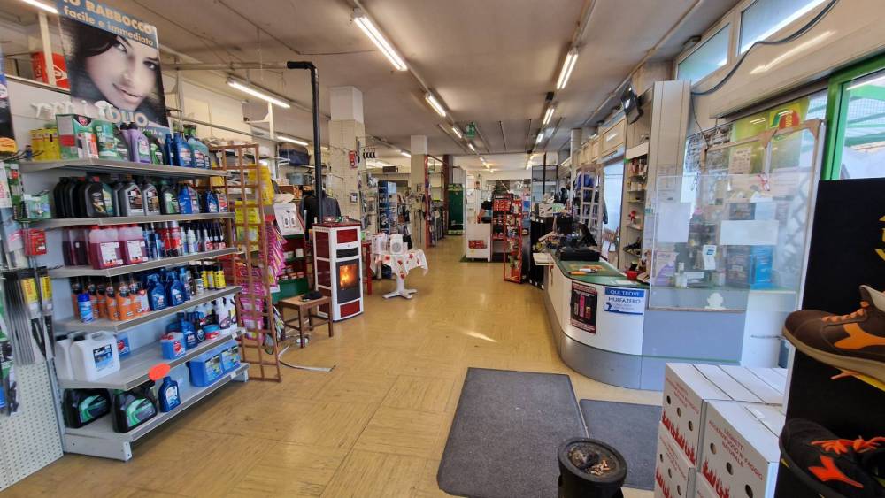 immagine annuncio 7 di 13