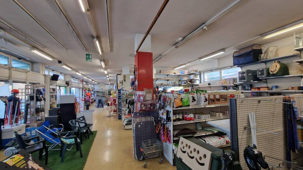 immagine annuncio 9 di 13