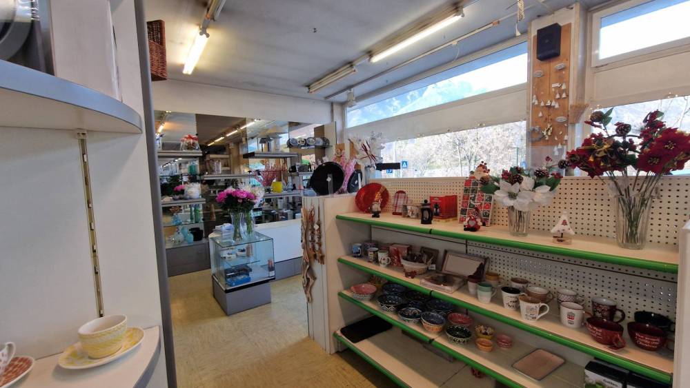 immagine annuncio 11 di 13