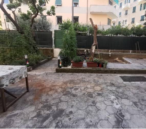 immagine annuncio 7 di 8