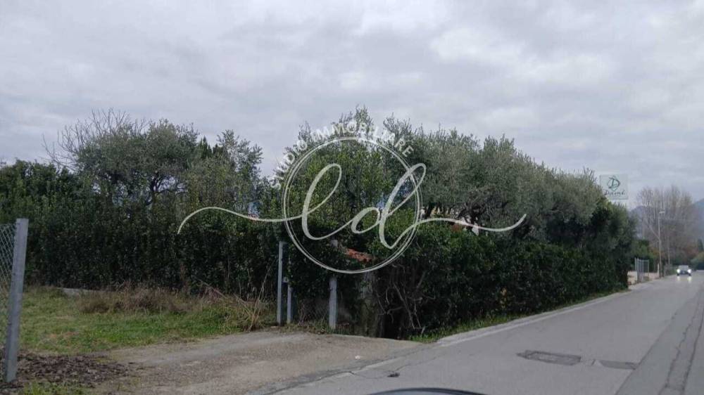 immagine annuncio 10 di 13