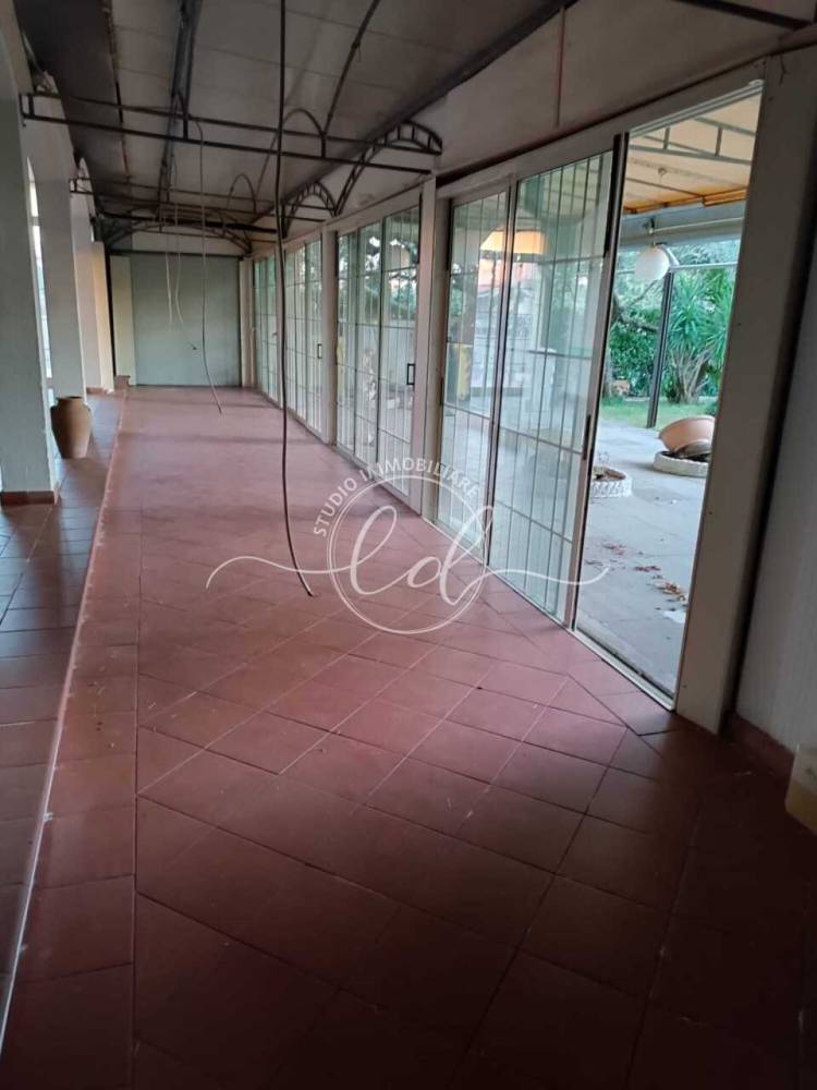 immagine annuncio 9 di 13