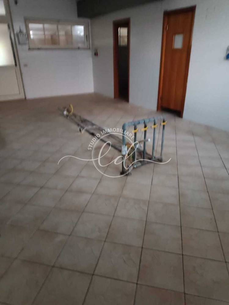 immagine annuncio 2 di 13