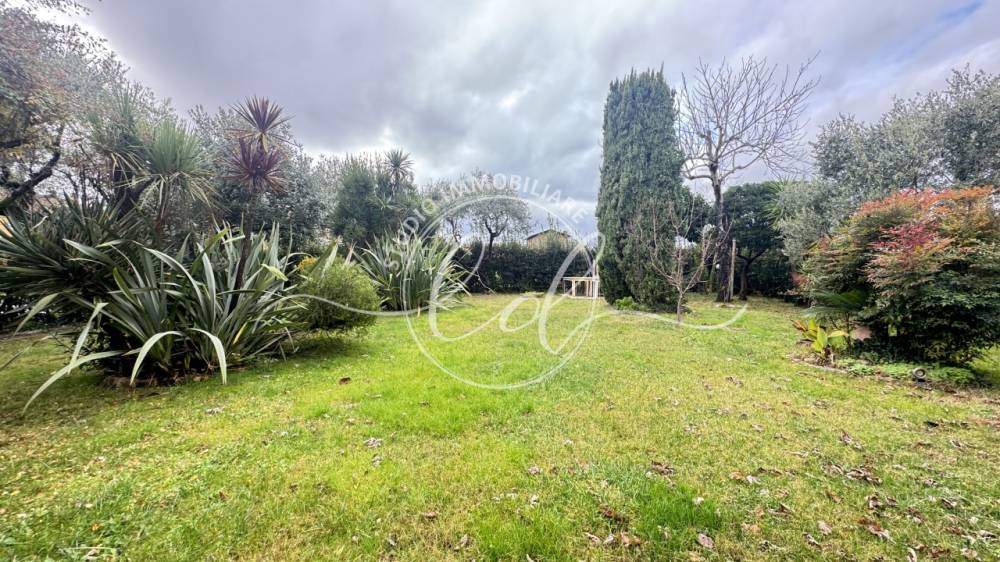 immagine annuncio 7 di 13