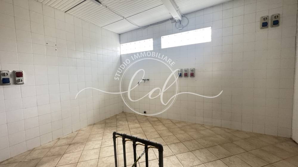 immagine annuncio 3 di 13