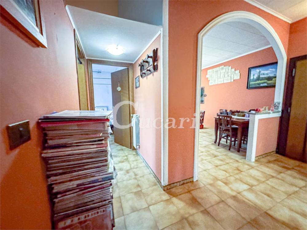 immagine annuncio 3 di 13