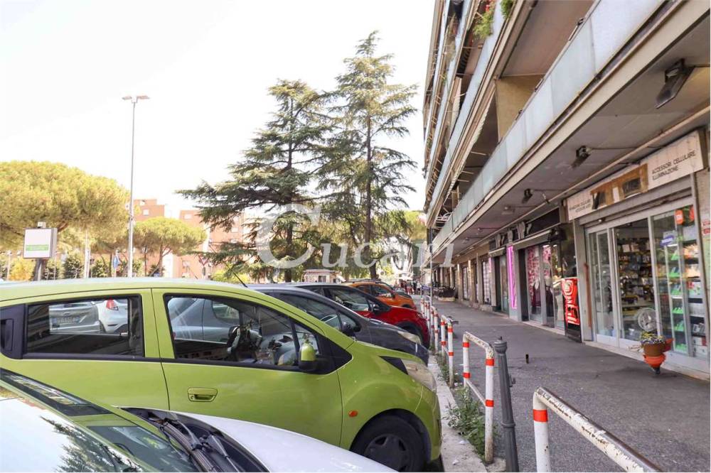 immagine annuncio 1 di 13