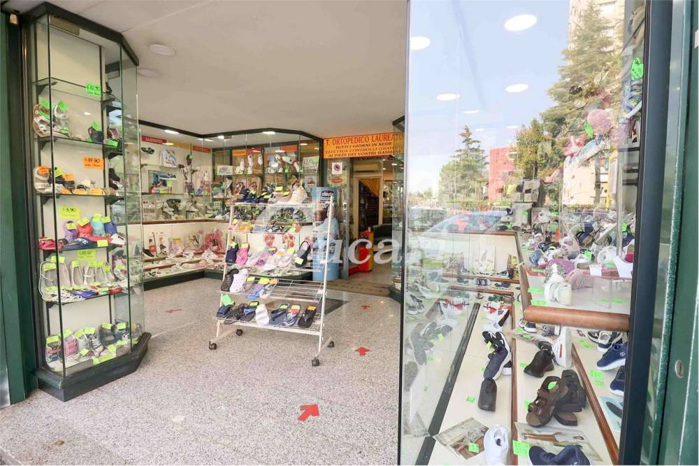 immagine annuncio 4 di 13