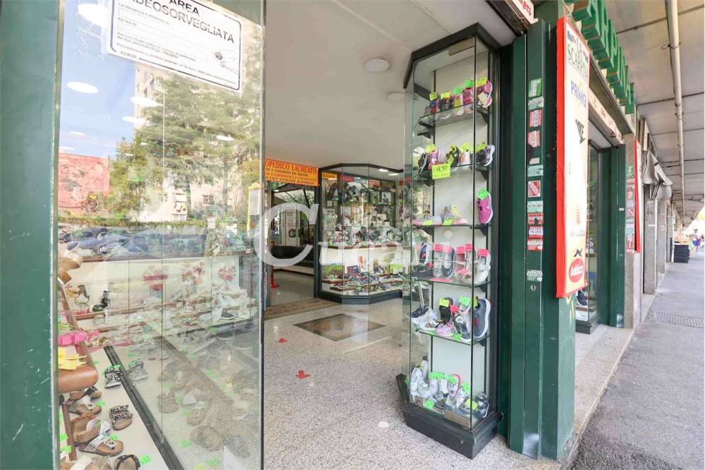 immagine annuncio 5 di 13