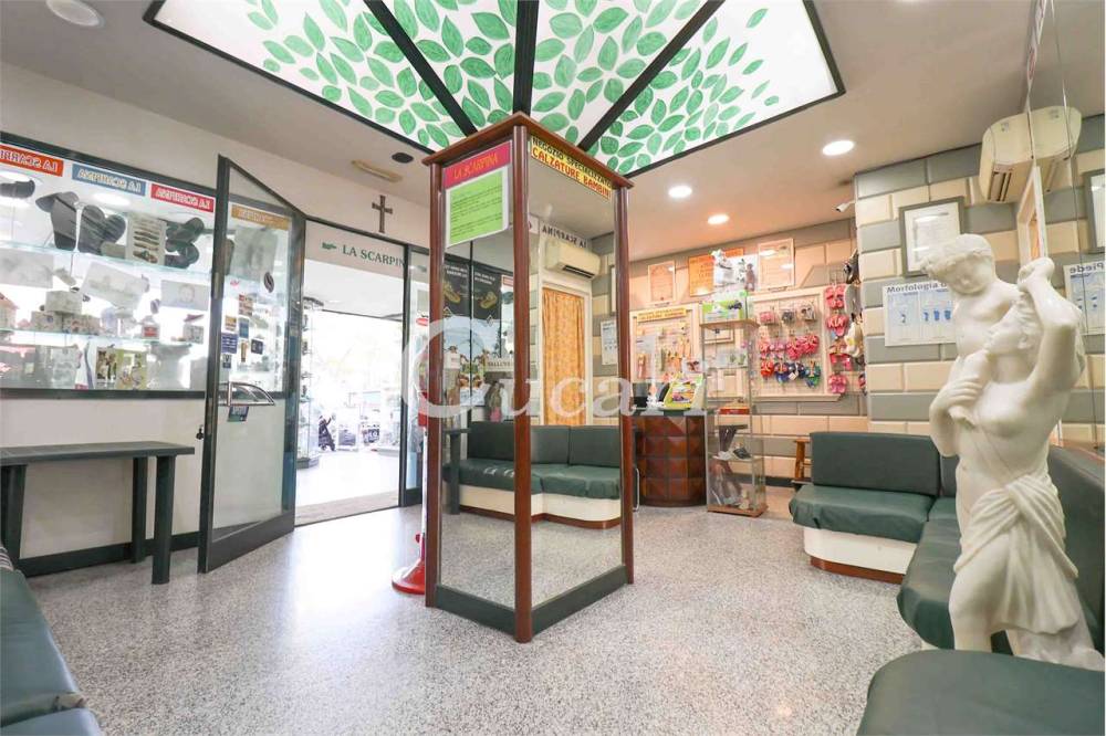 immagine annuncio 9 di 13