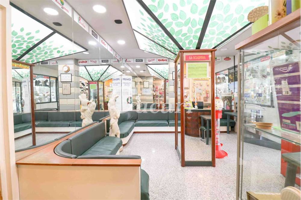 immagine annuncio 12 di 13